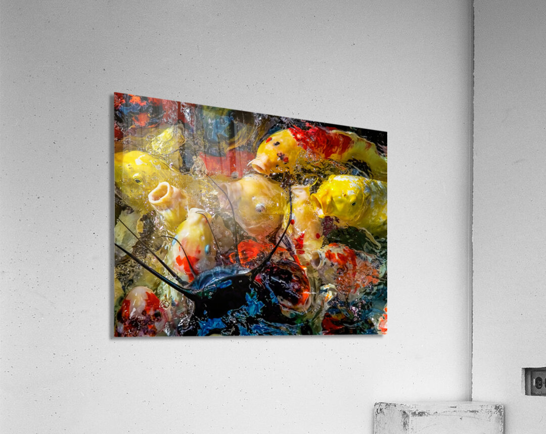 Fish Fight Acrylic Print