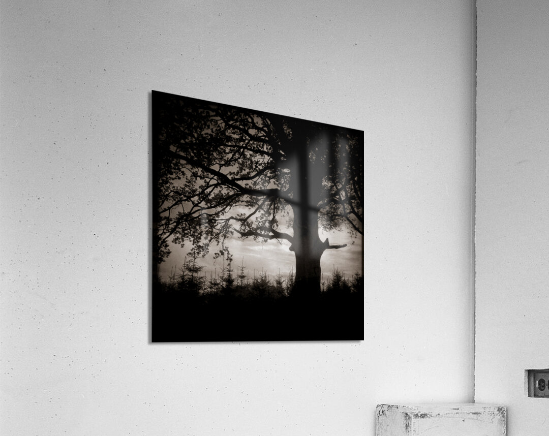 As the Day Fades Acrylic Print