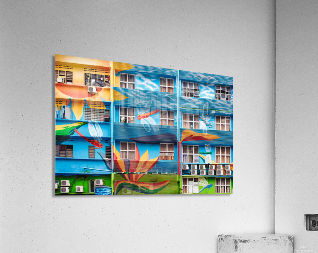 Urban Dragonflies Acrylic Print