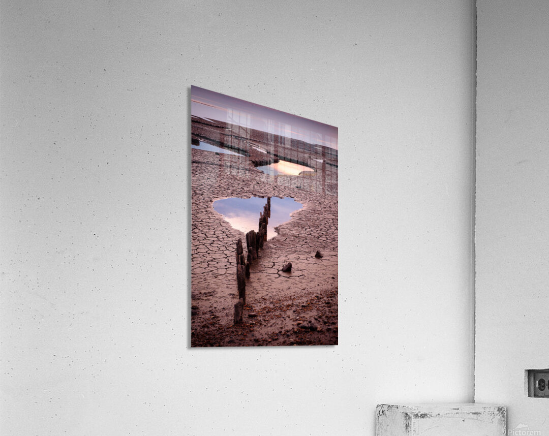 Snettisham Salt Marsh Acrylic Print