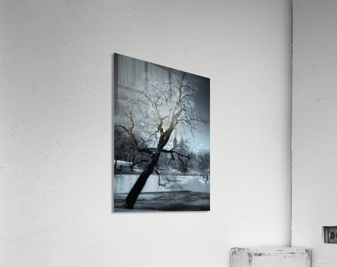 Winter in Central Park Acrylic Print