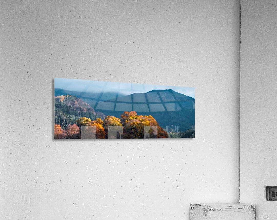 Autumn at Tay Forest Park Impression acrylique