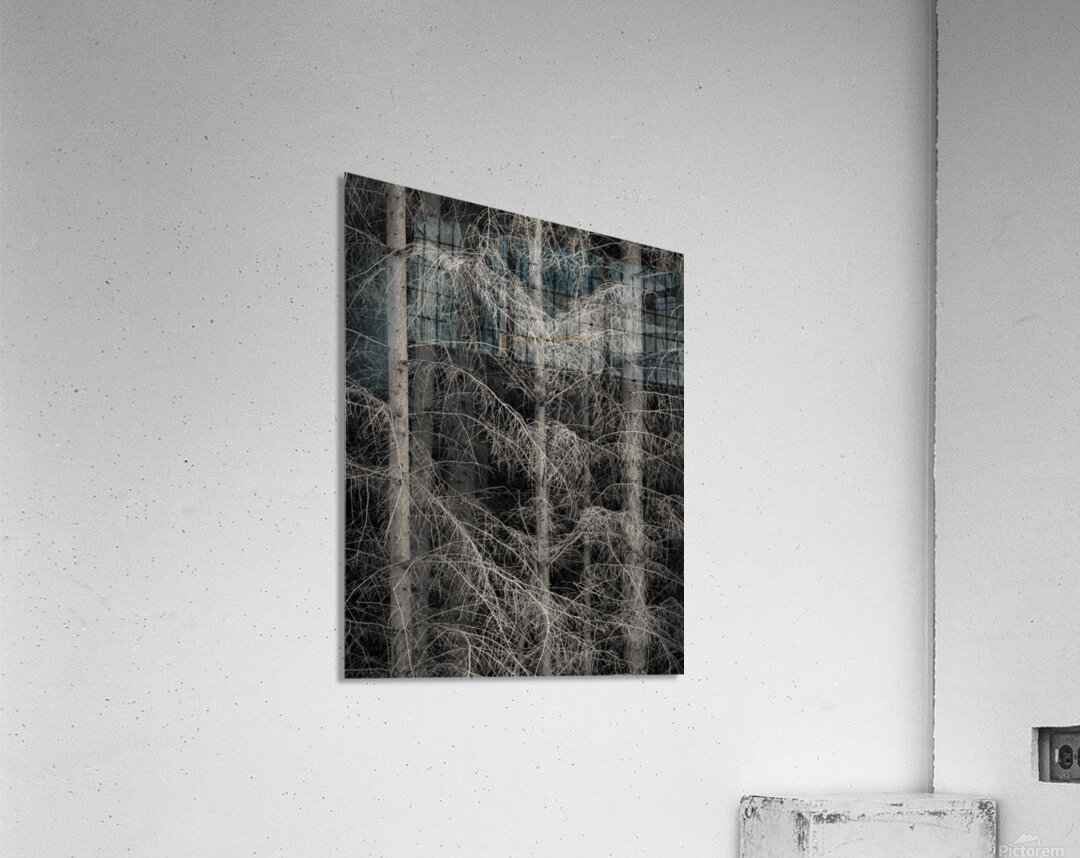 The Edge of Silence Impression acrylique