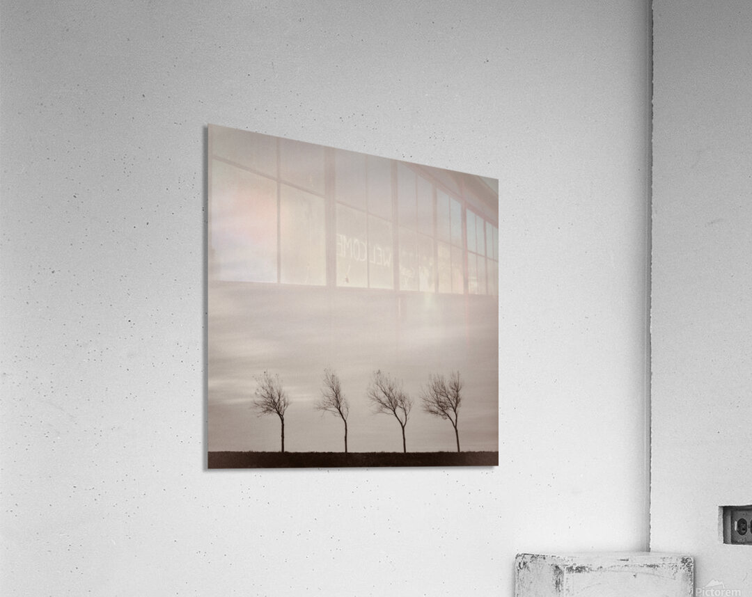 Four Trees Impression acrylique