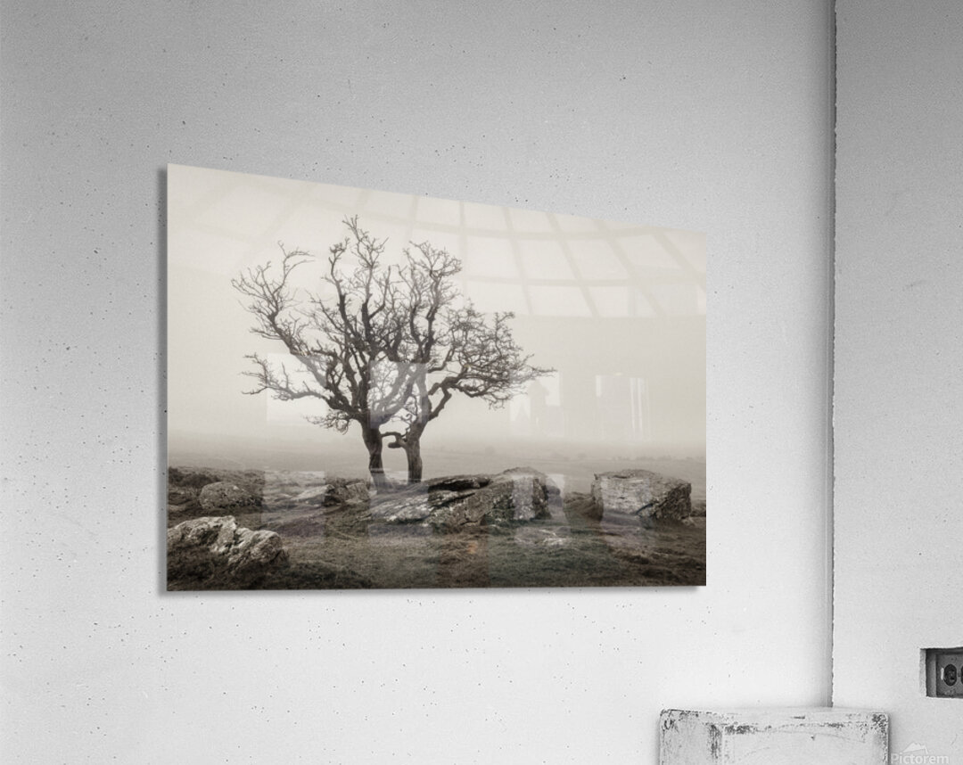 Dartmoor Solitude Acrylic Print