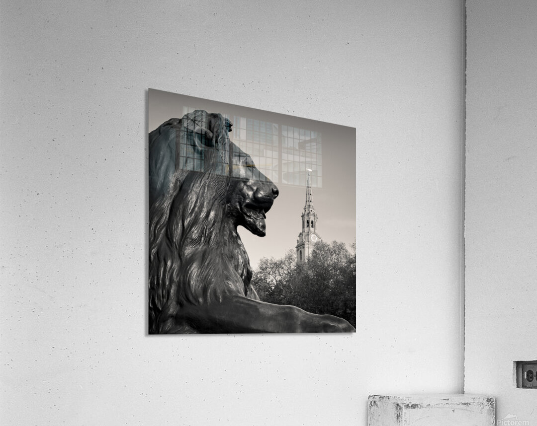 Trafalgar Square Lion Acrylic Print