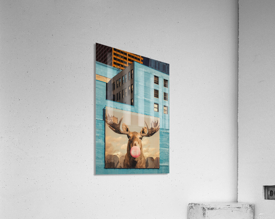 Chicago Bubblegum Moose Acrylic Print