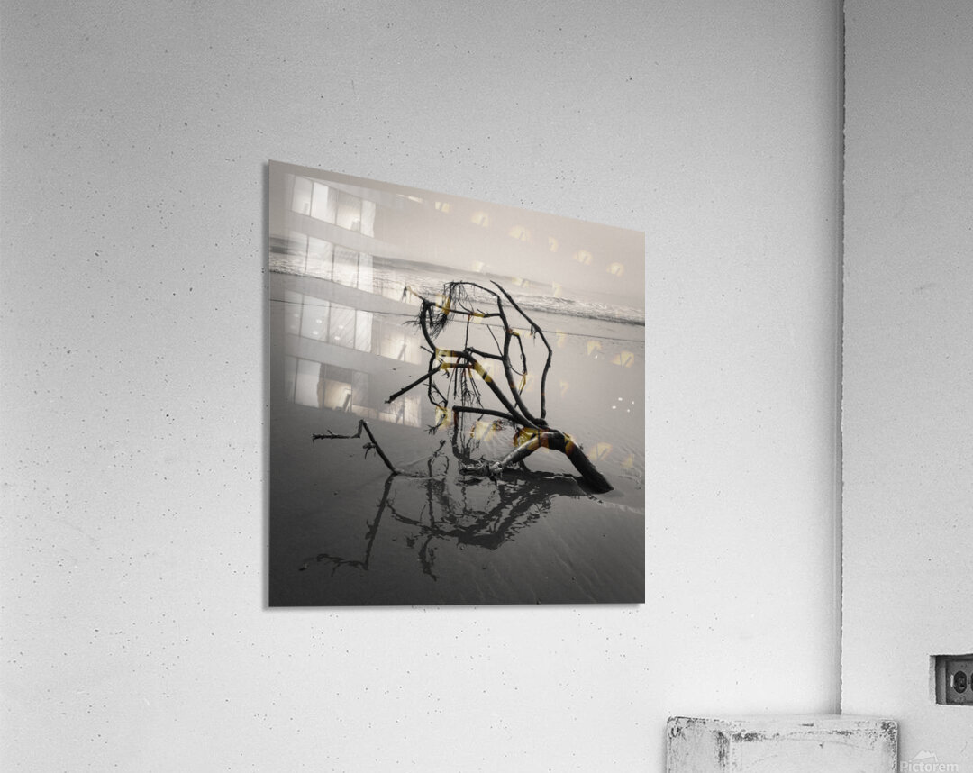 Washed Ashore Acrylic Print