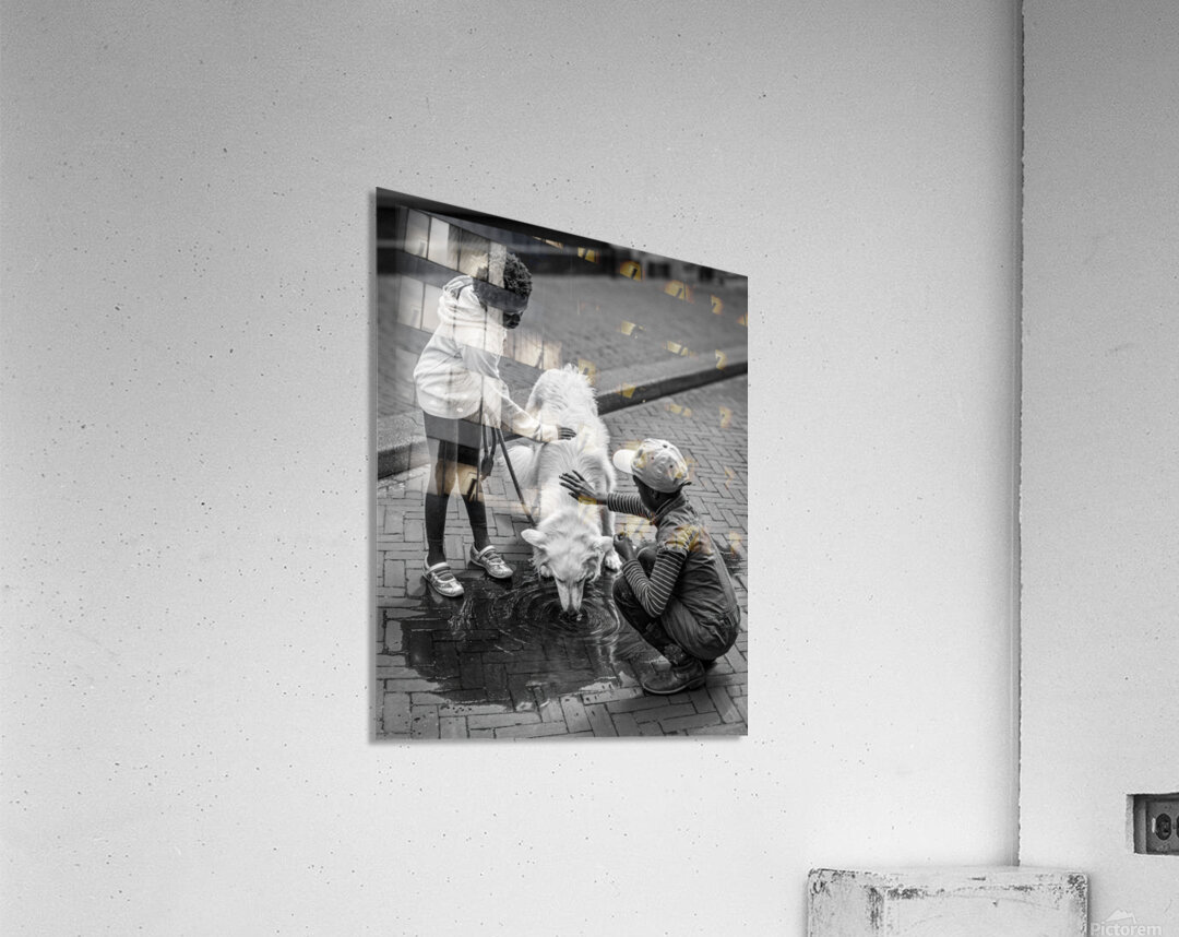 Watering Hole Acrylic Print