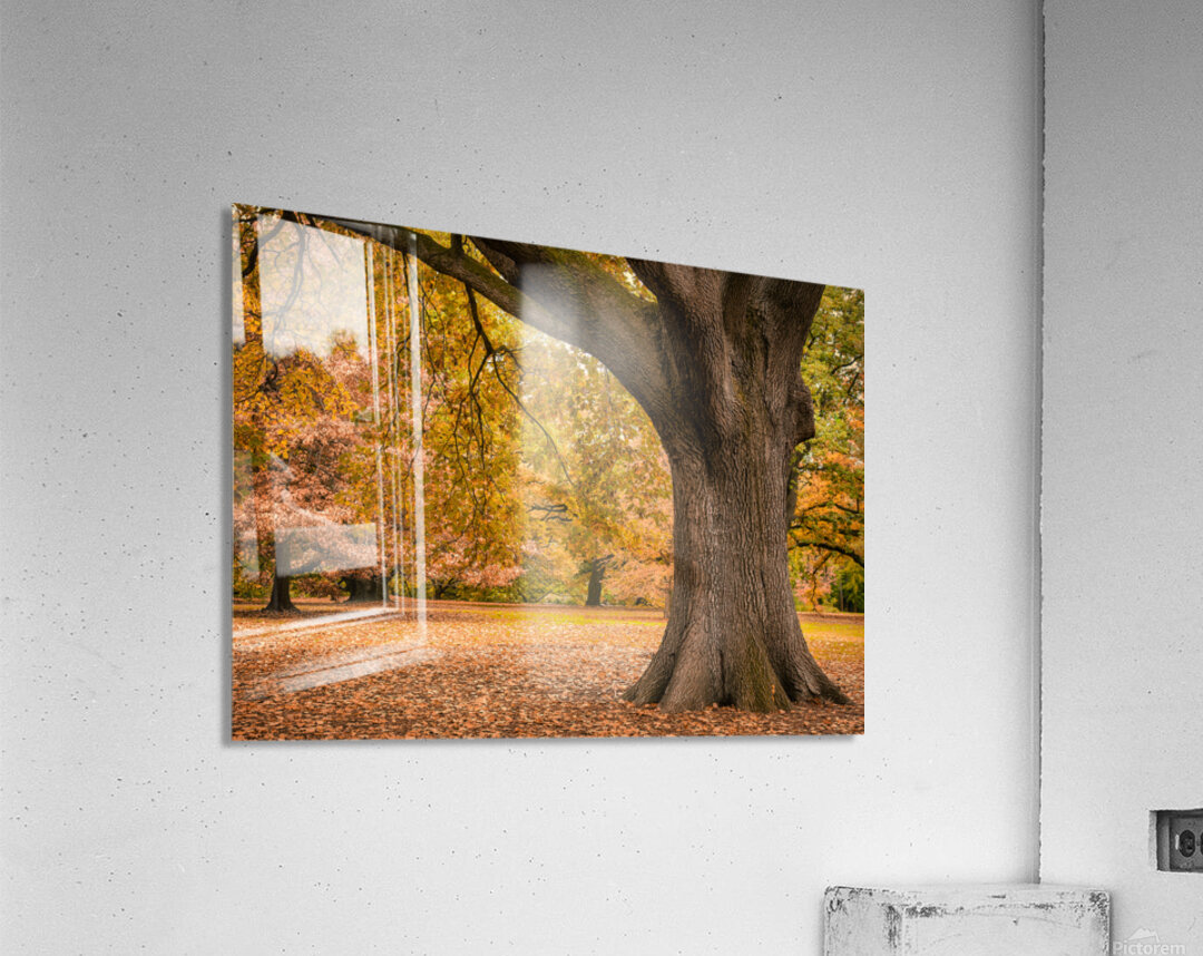 Autumn in Melbourne Impression acrylique