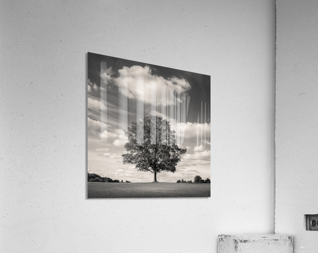 Burghley Oak Impression acrylique