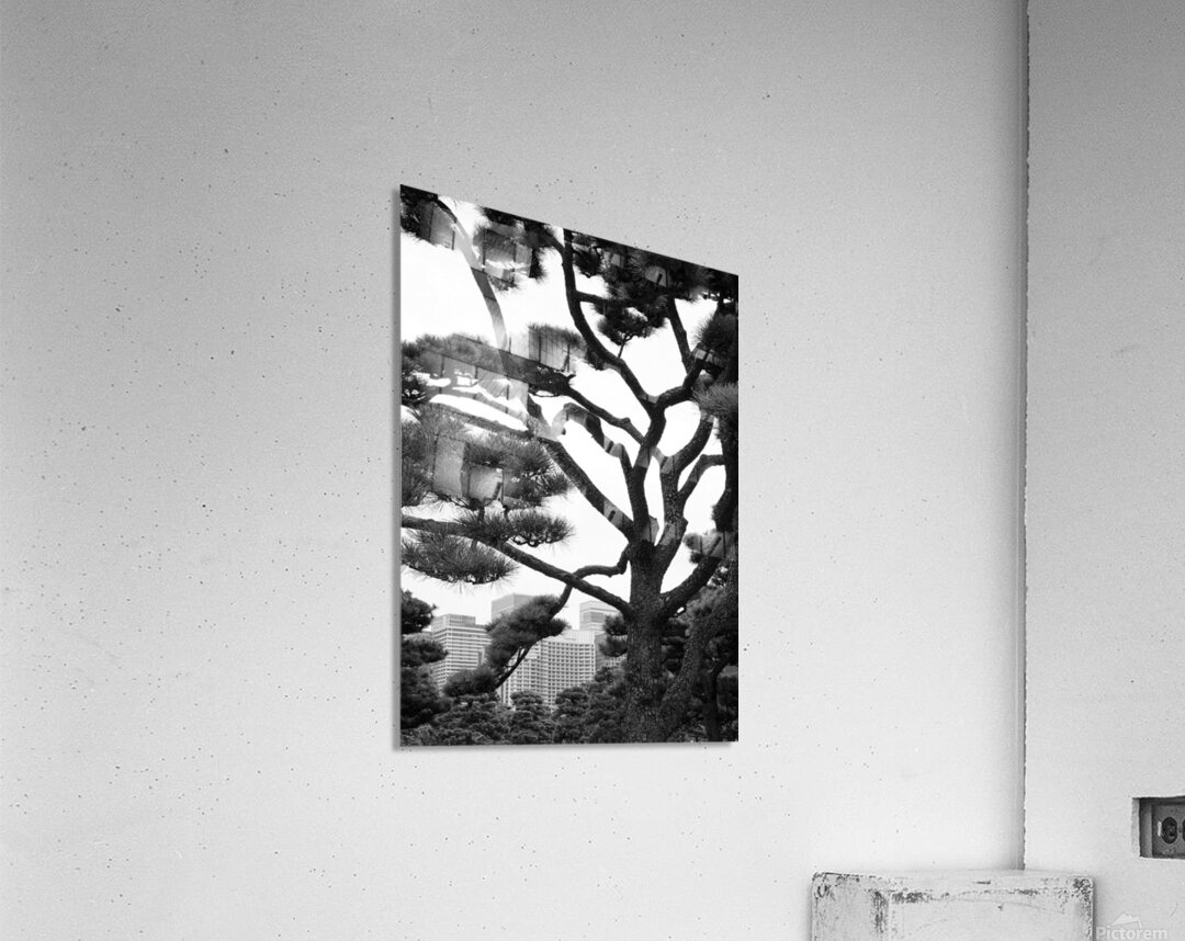 Kokyo Gaien Branches Acrylic Print