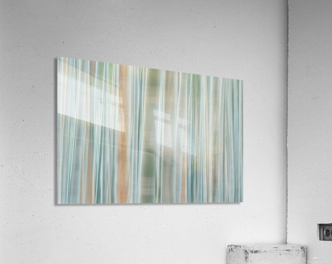 Bamboo Forest  Acrylic Print