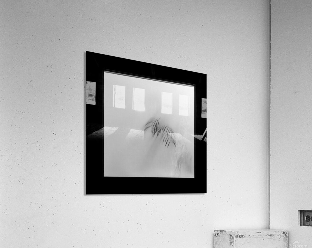 Kyoto House Plant Acrylic Print