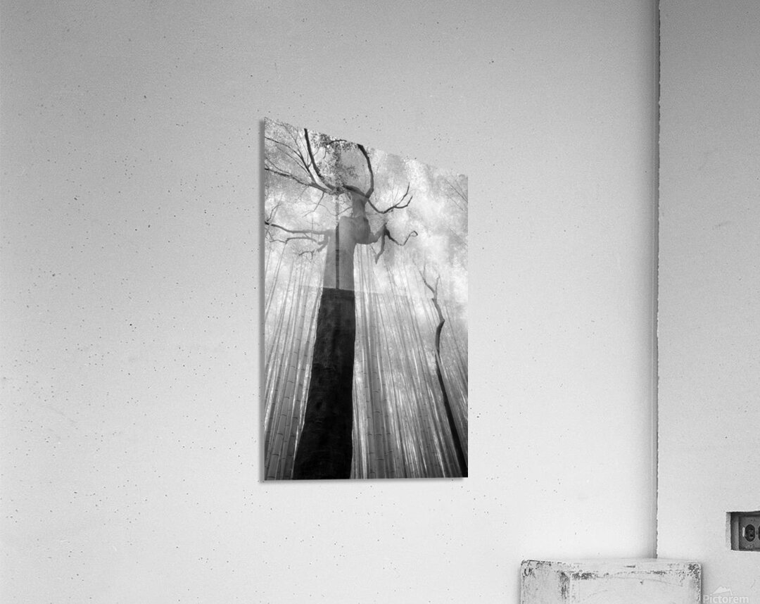 Fractured Rhythm Acrylic Print