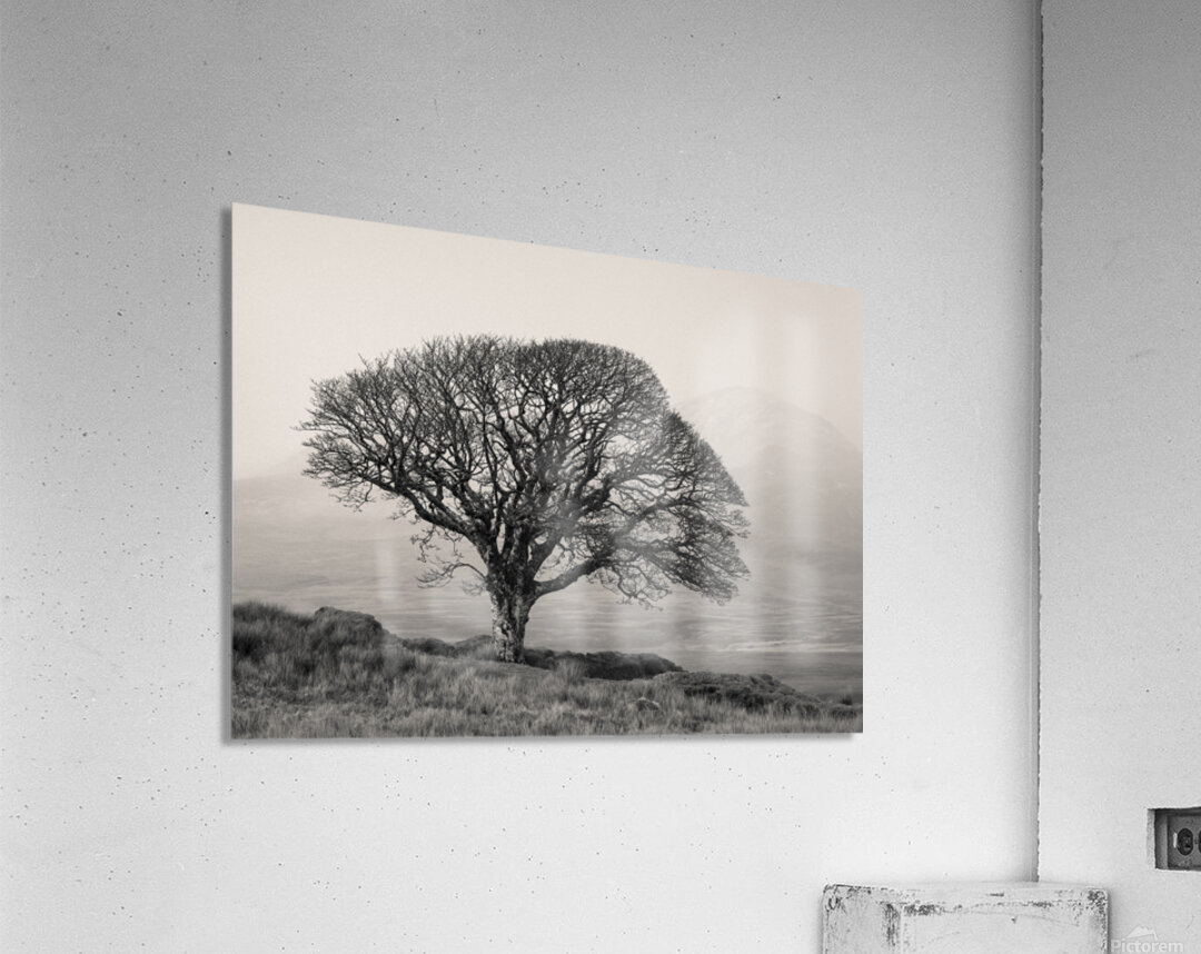 Islay Sentinel Acrylic Print