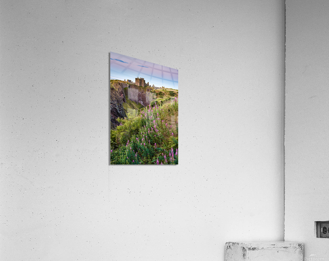 Summer at Dunnottar Castle Acrylic Print