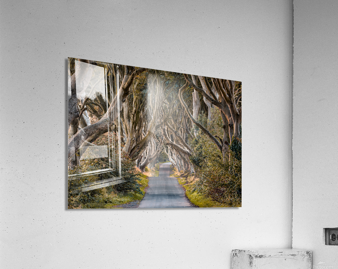 The Dark Hedges Acrylic Print
