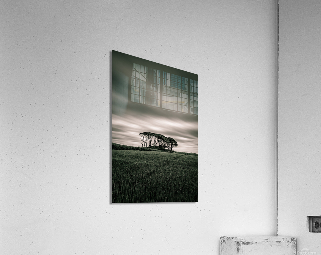 Crawton Copse Impression acrylique