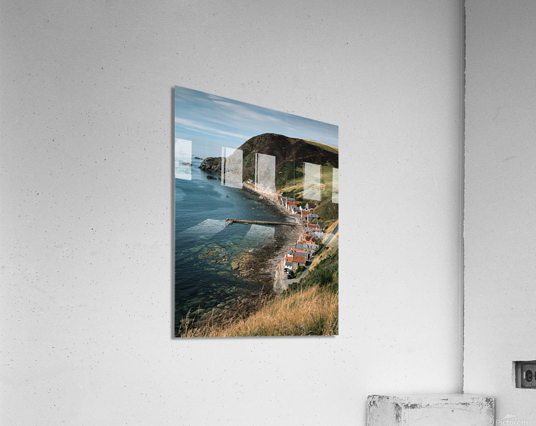Crovie Acrylic Print