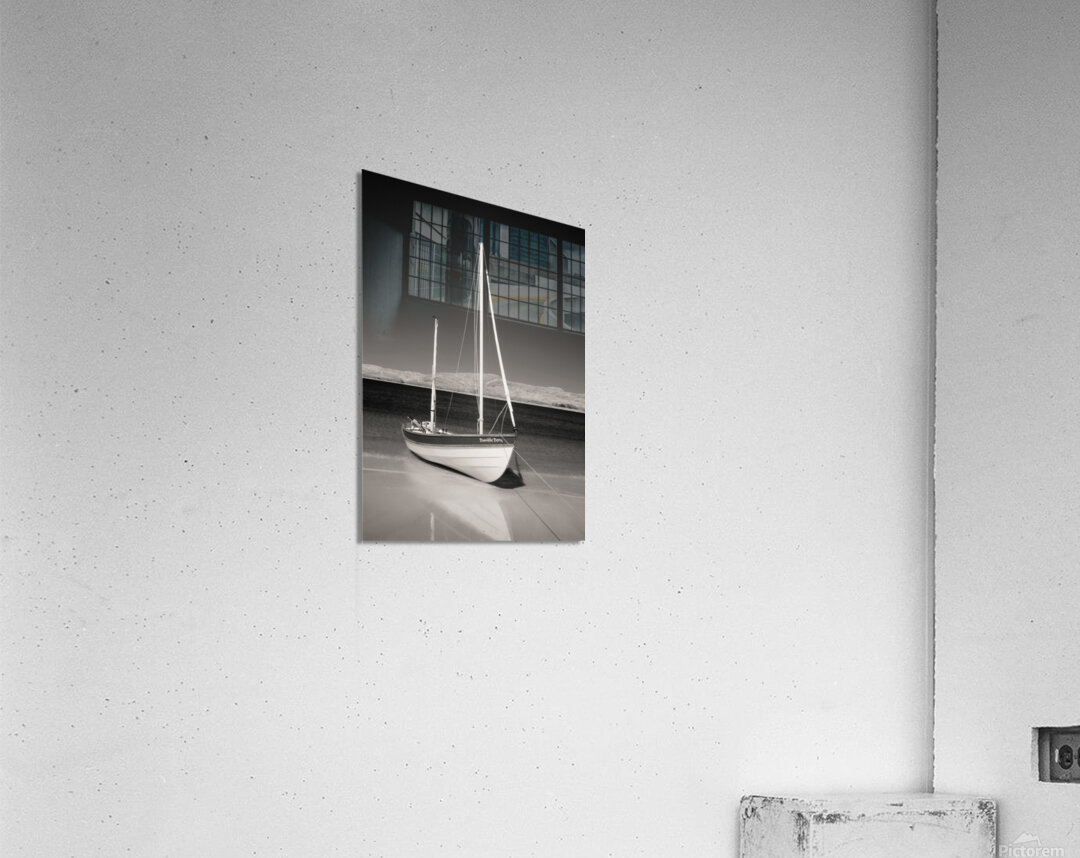 Dumble Dory Impression acrylique