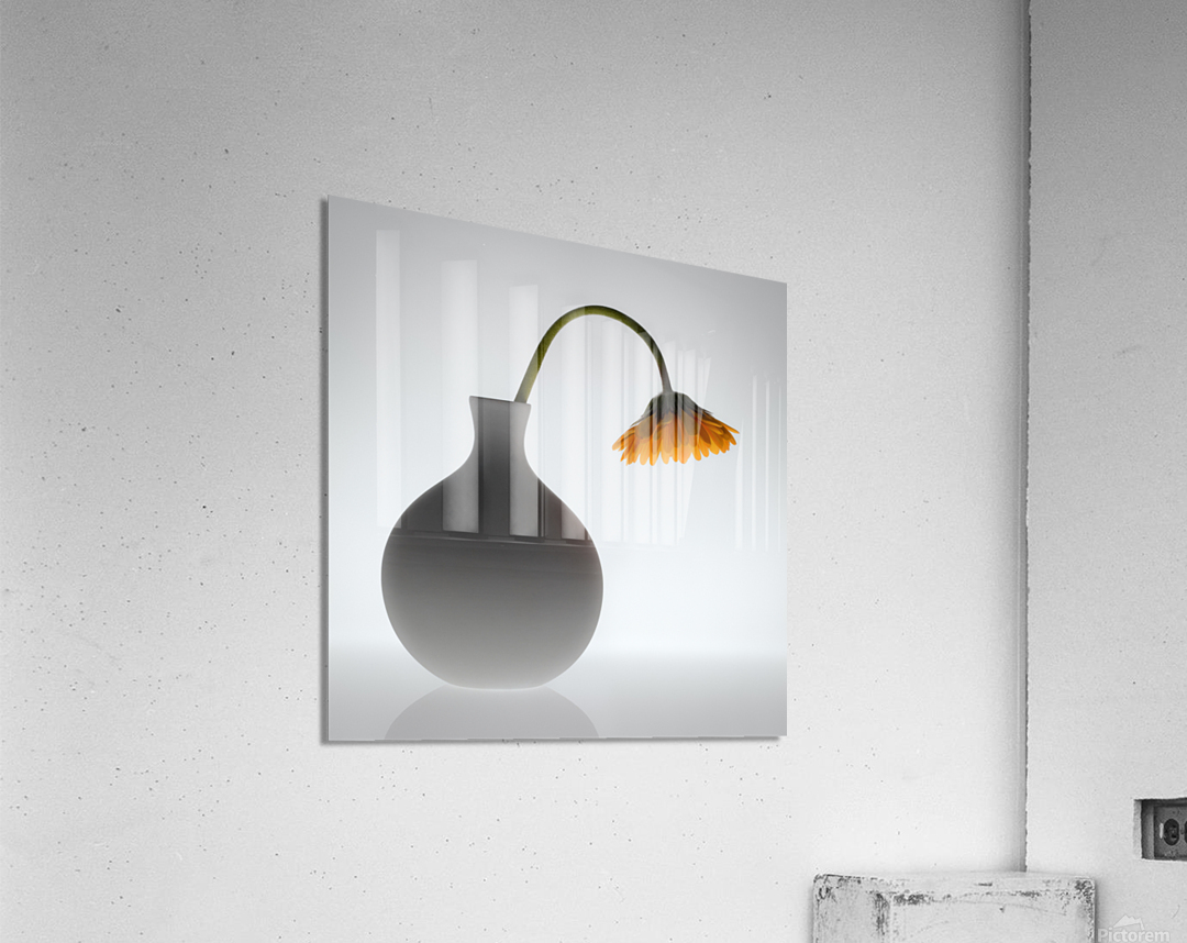 Wilt Impression acrylique