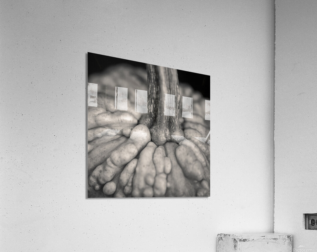 Knucklehead Pumpkin Acrylic Print