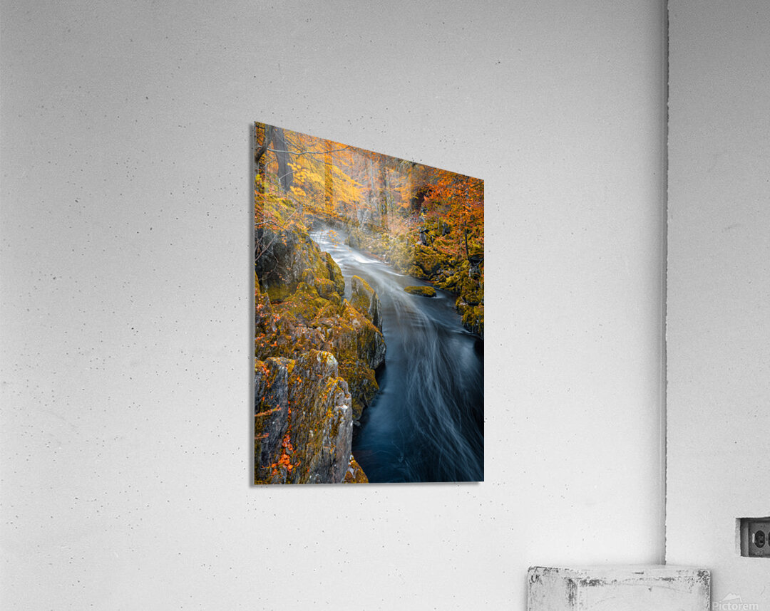 River Esk at Autumn Impression acrylique