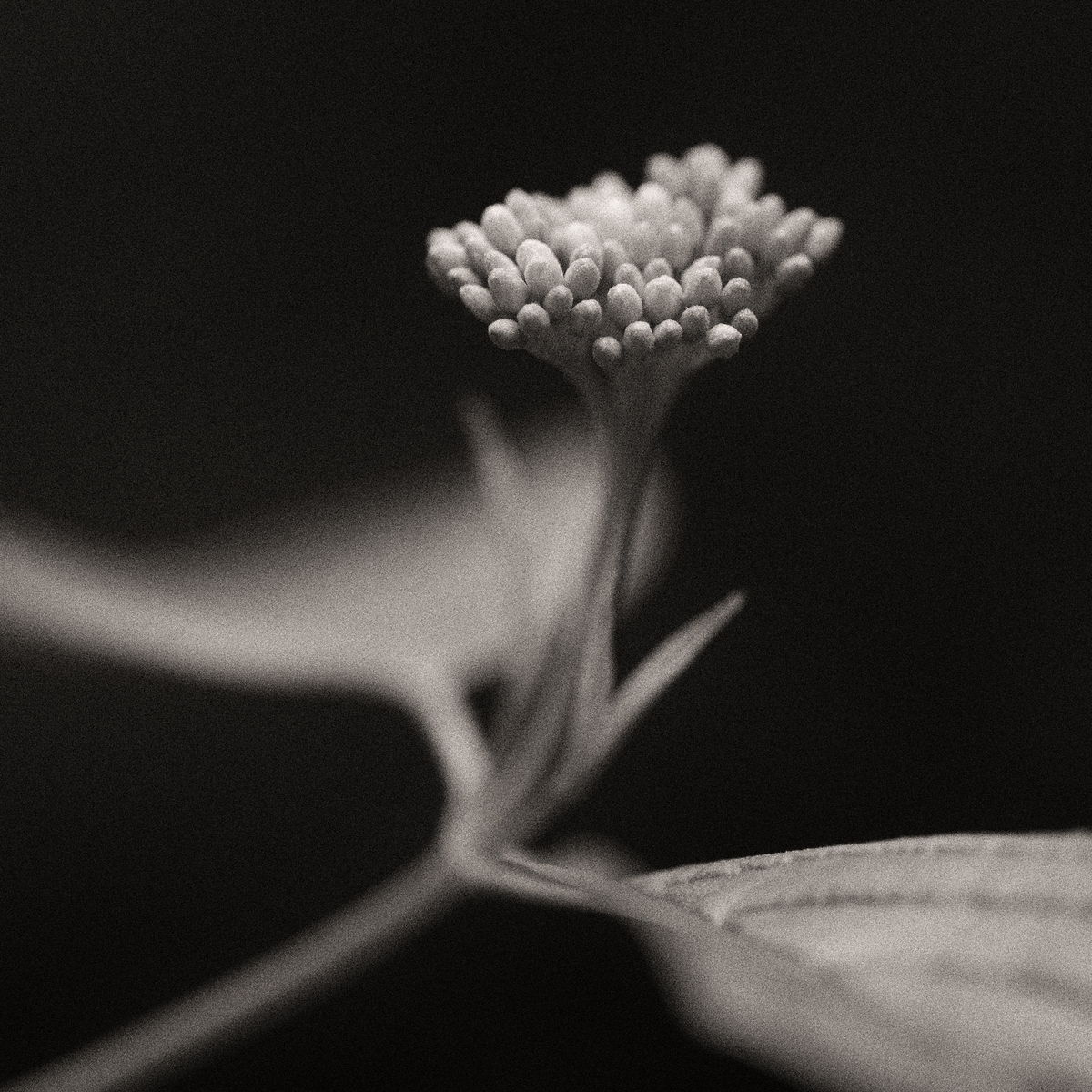 Impression de cadre personnalisé