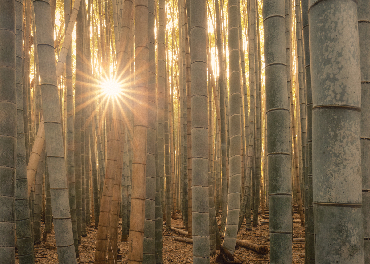 Impression de cadre personnalisé