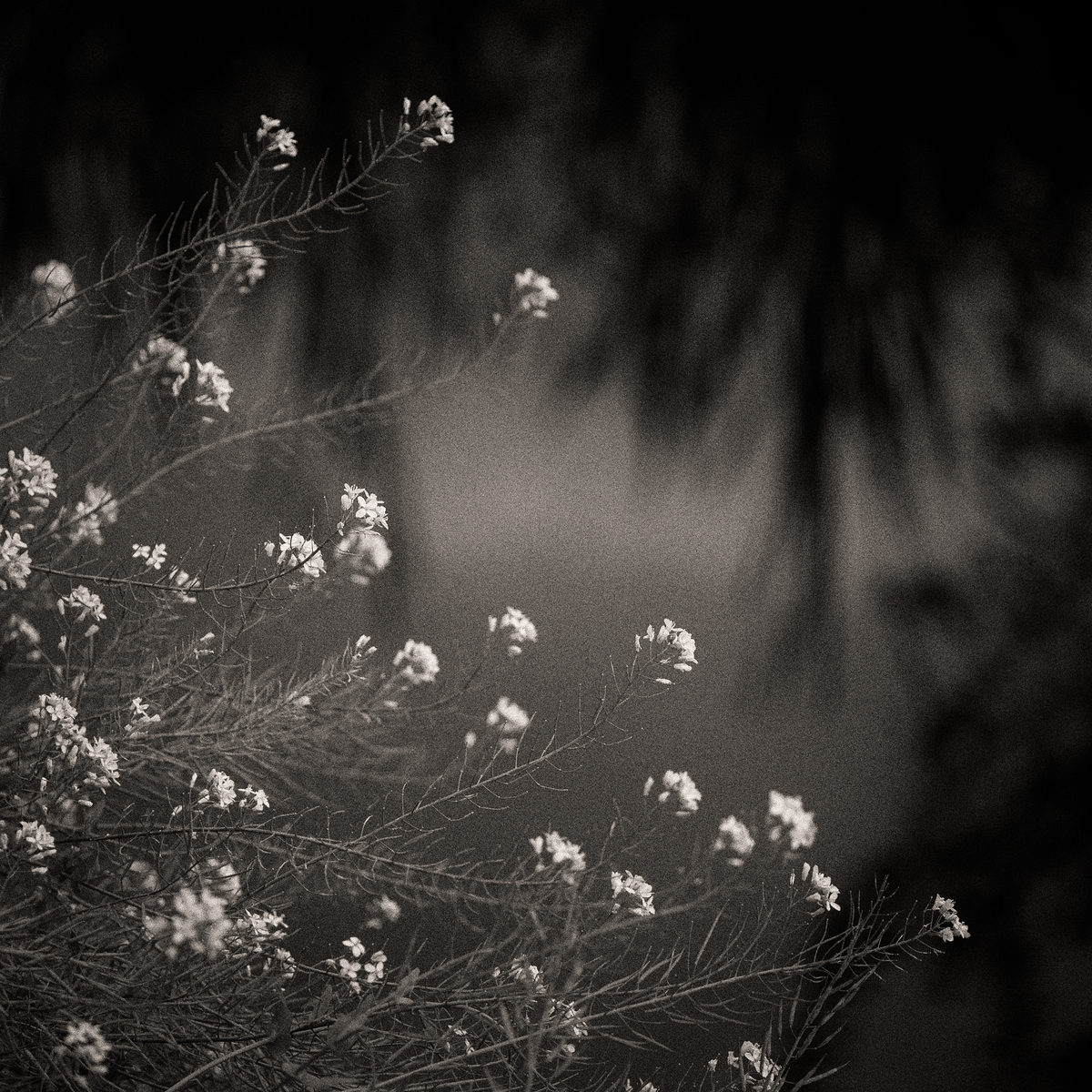 Impression de cadre personnalisé