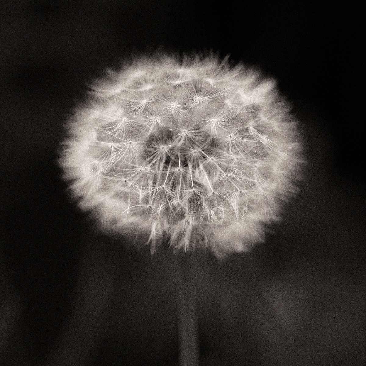 Impression de cadre personnalisé