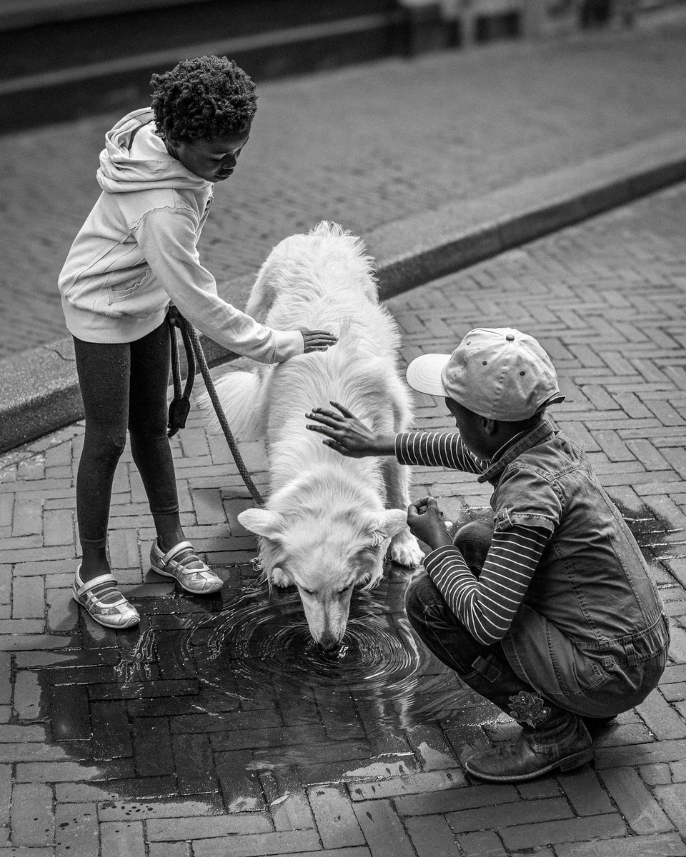 Impression de cadre personnalisé