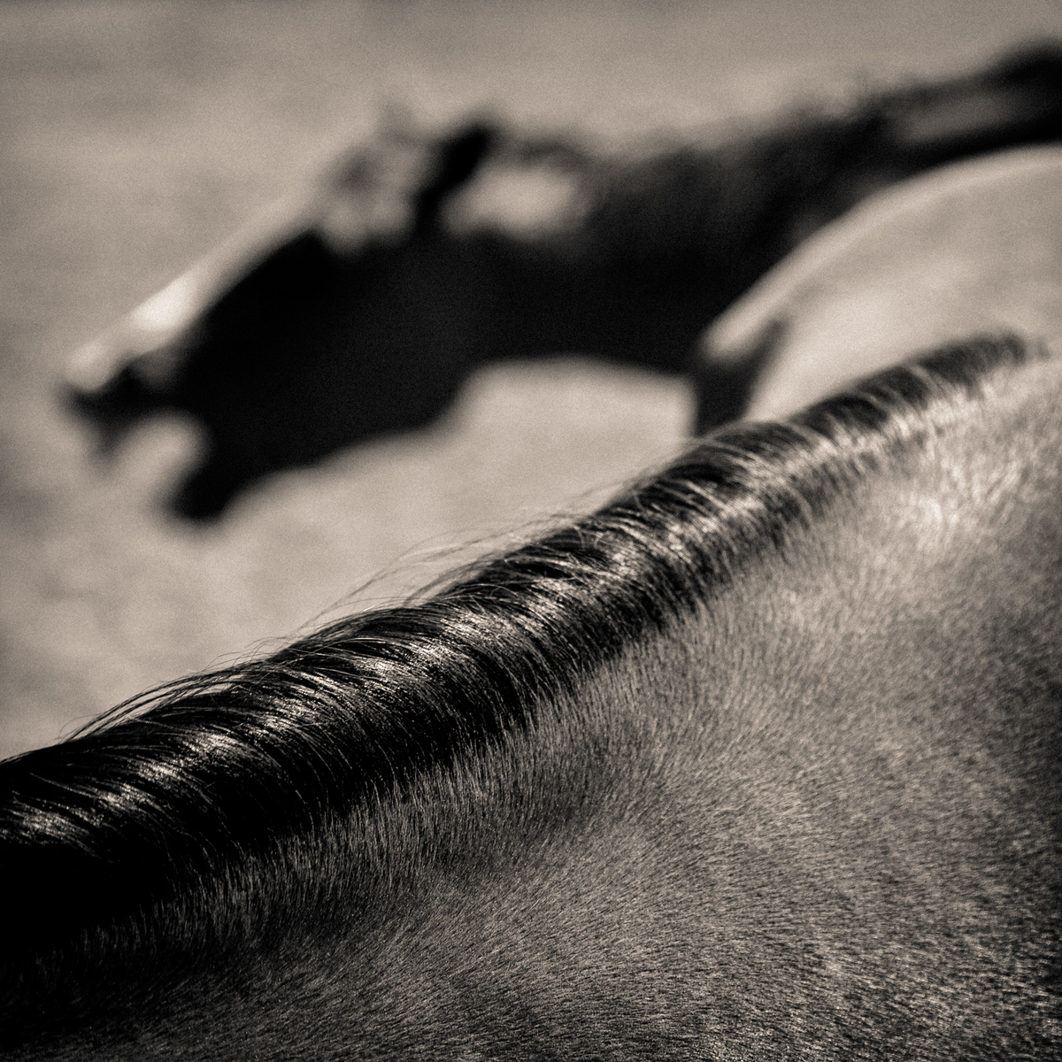 Impression de cadre personnalisé