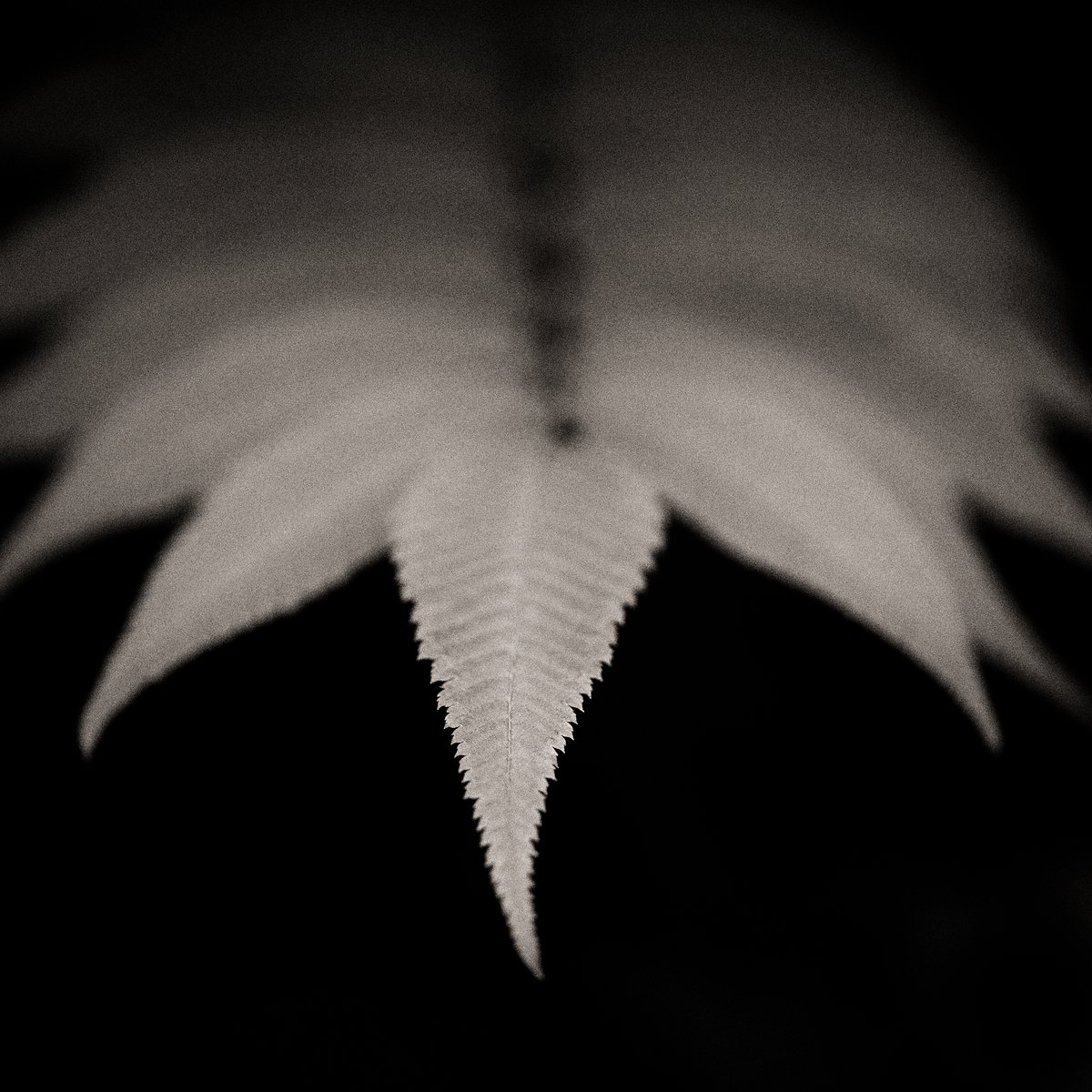 Impression de cadre personnalisé