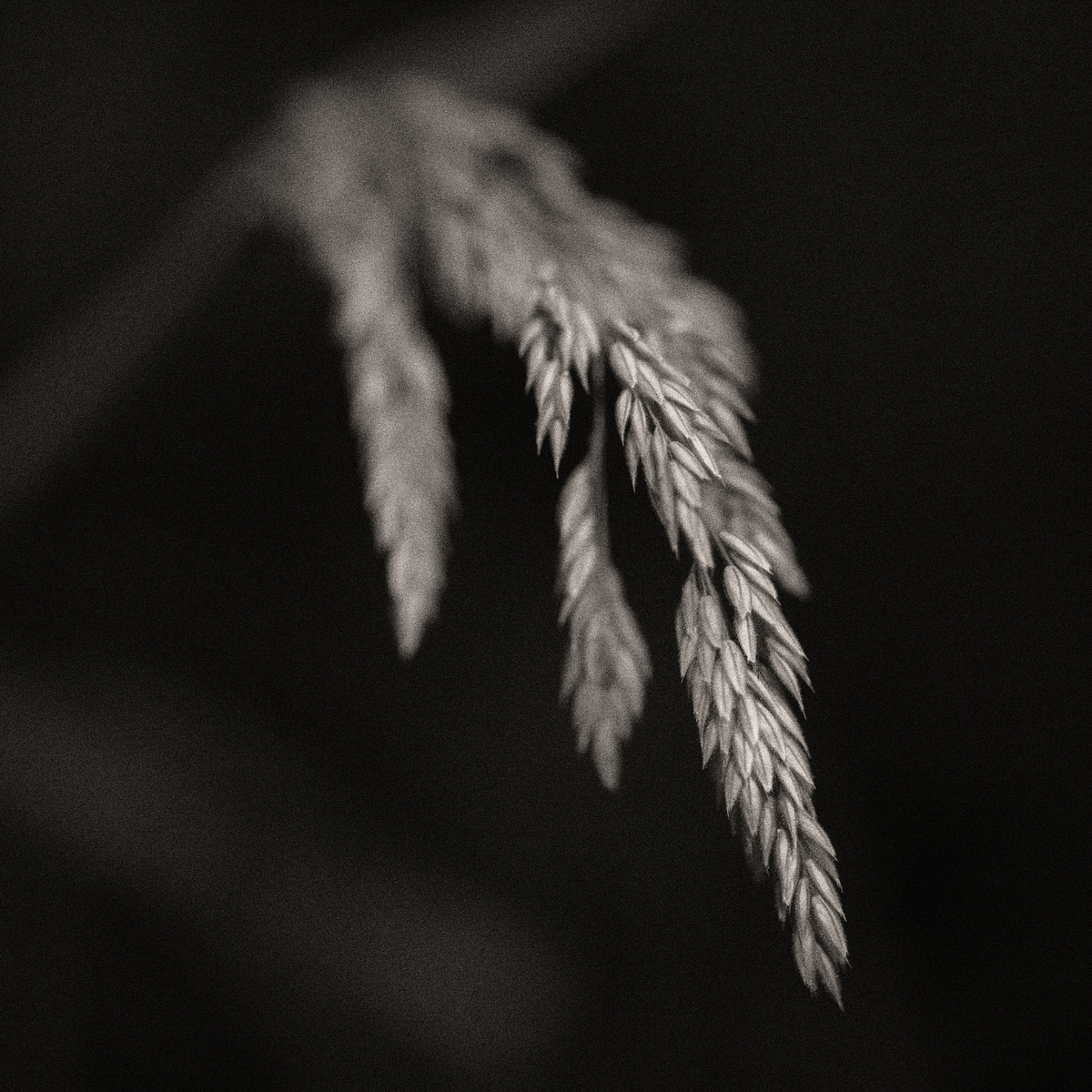 Impression de cadre personnalisé