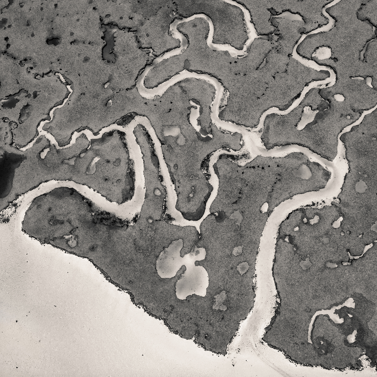 Impression de cadre personnalisé