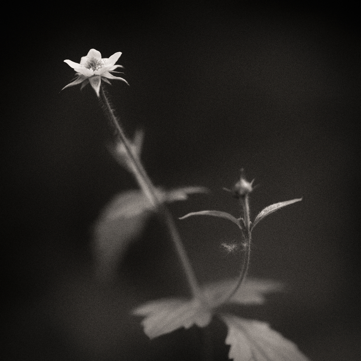 Impression de cadre personnalisé