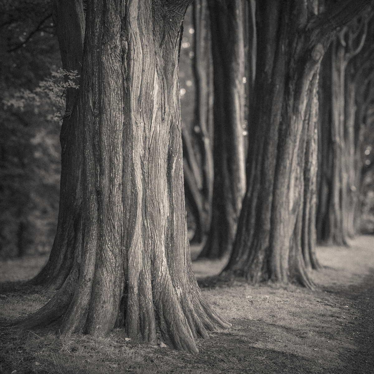 Impression de cadre personnalisé