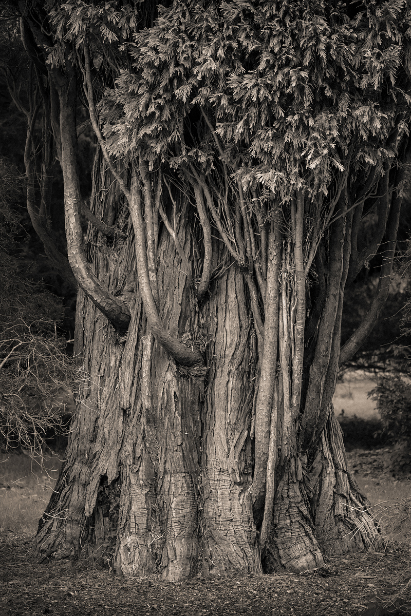 Impression de cadre personnalisé