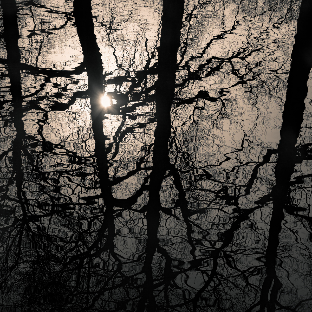 Impression de cadre personnalisé