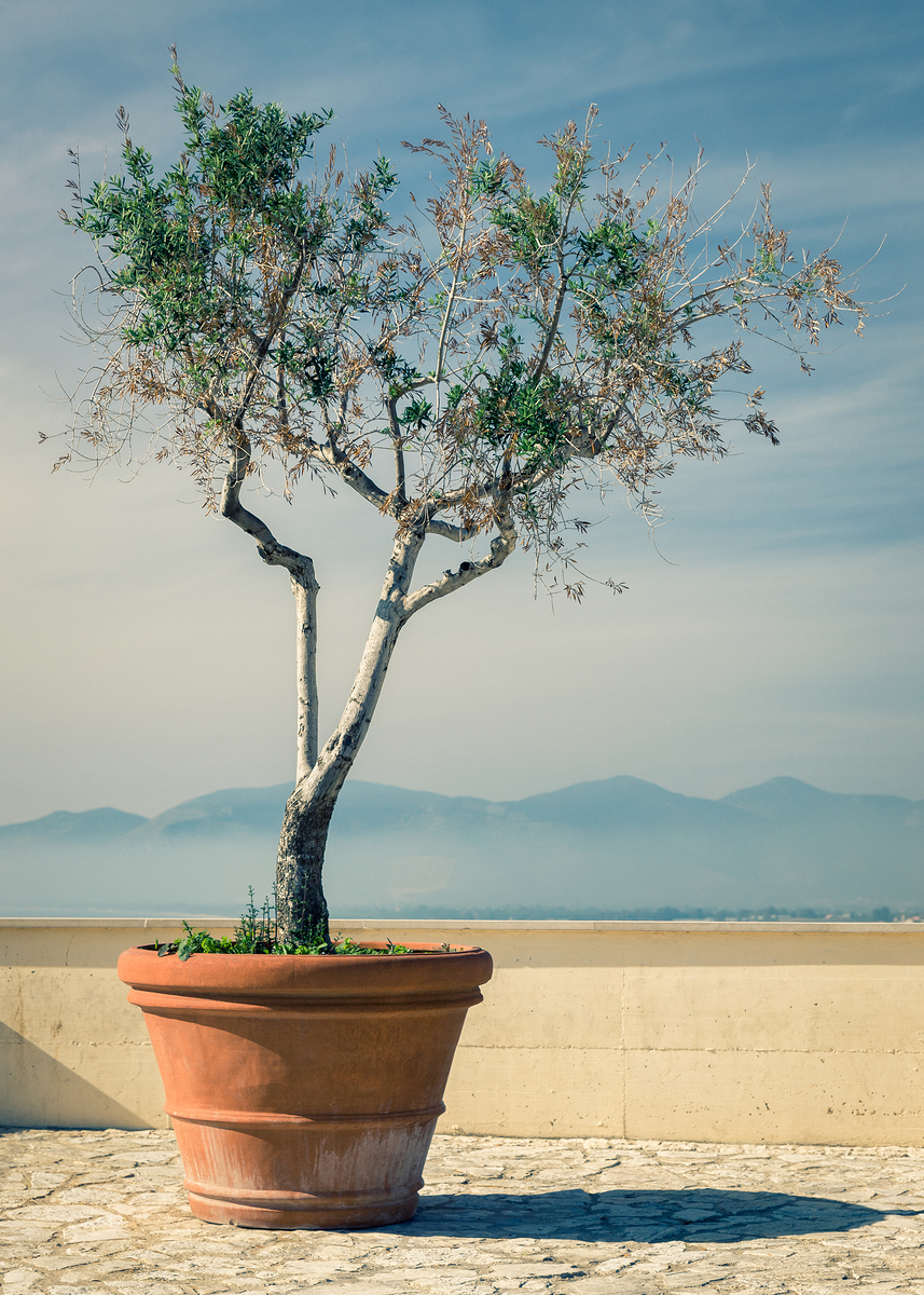 Impression de cadre personnalisé