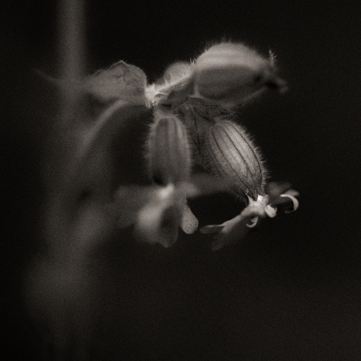 Impression de cadre personnalisé