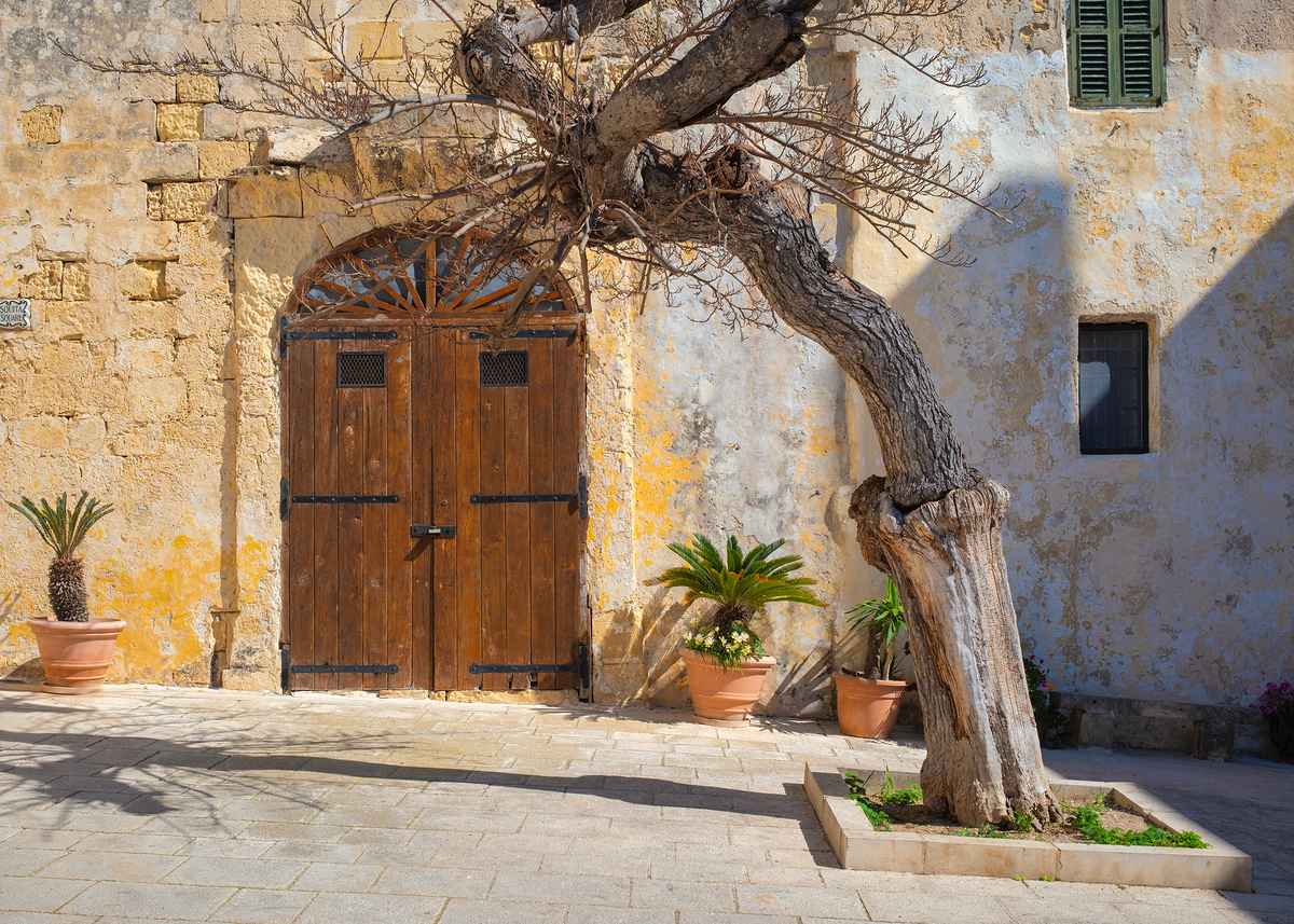 Impression de cadre personnalisé