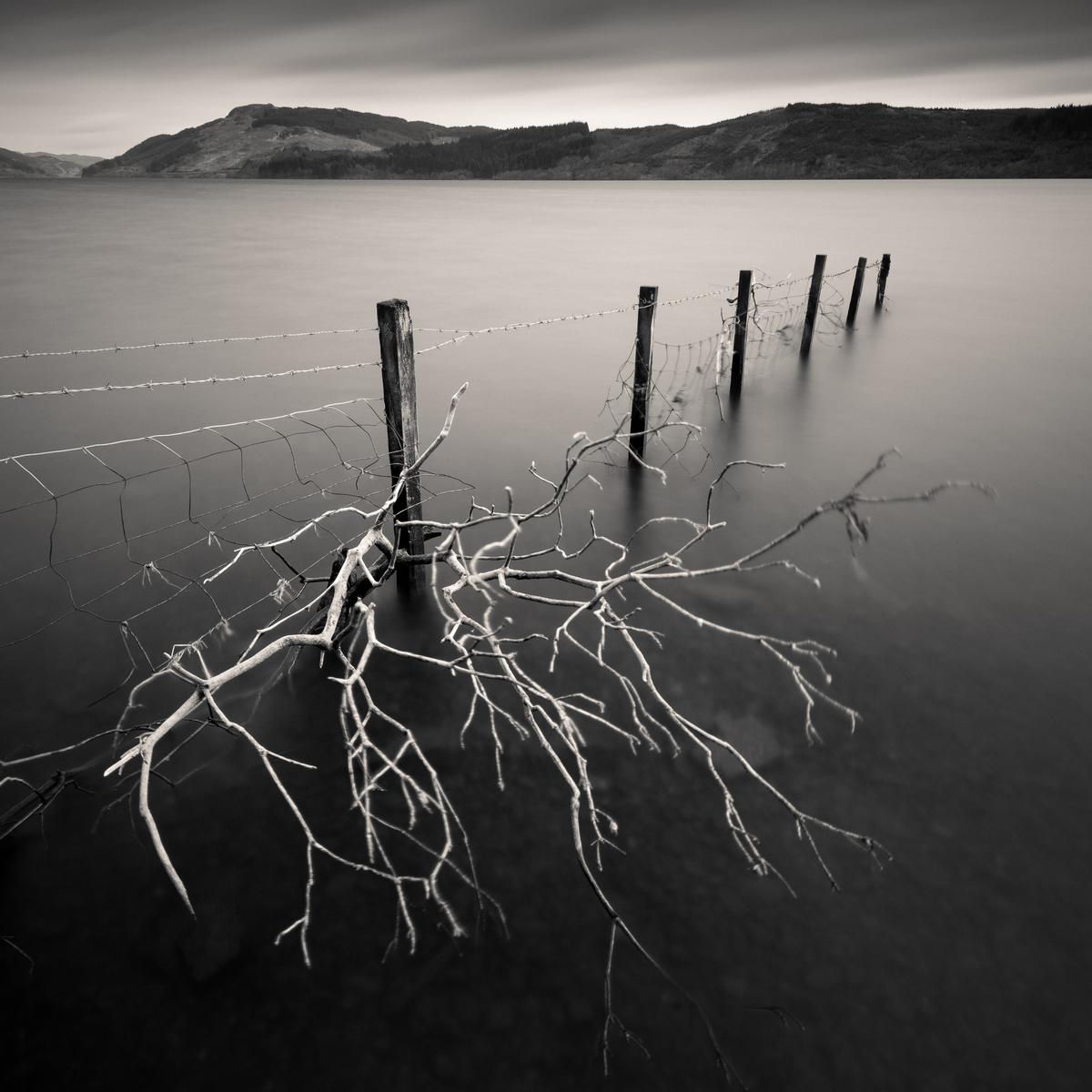 Impression de cadre personnalisé