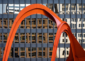 Flamingo Reflections