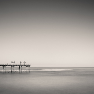 Four Trees on a Pier