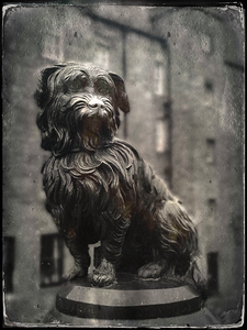 Greyfriars Bobby
