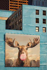 Chicago Bubblegum Moose