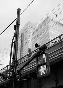 Chiyoda City Crossing